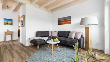 Tv, eldstad och ett filmbibliotek