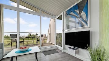 TV, fireplace, DVD player, stereo