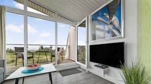 Télévision, cheminée, lecteur de DVD, chaßne hi-fi