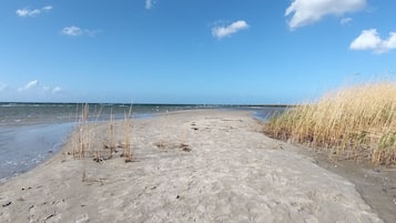 Playa en los alrededores