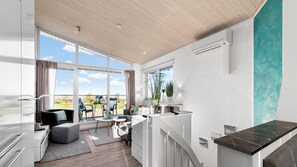 电视、壁炉、DVD 播放器、影片库