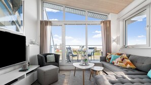 电视、壁炉、DVD 播放器、影片库