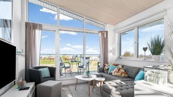 Televisie, een open haard, een dvd-speler en een filmbibliotheek