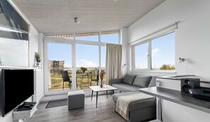 تلفزيون، مدفأة، مشغل دي في دي، ستيريو