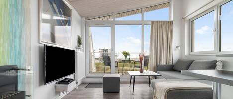 TV, caminetto, lettore DVD, impianto stereo