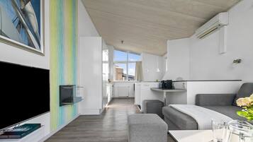 Télévision, cheminée, lecteur de DVD, chaßne hi-fi