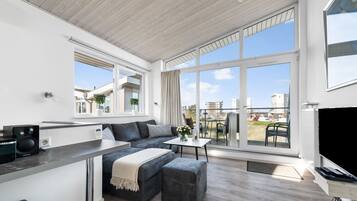 TV, fireplace, DVD player, stereo