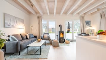 TV, fireplace, books, stereo