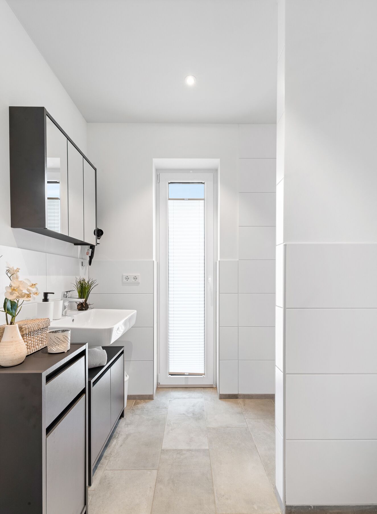 Dutxa i assecador de cabells 