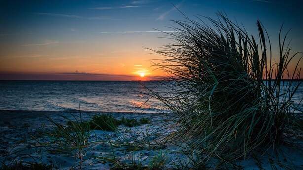 Une scène de plage au coucher du soleil sur l’océan, avec du sable et des herbes au premier plan.