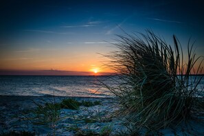 Plage à proximité