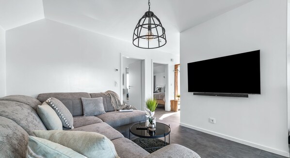 TV, fireplace, video library