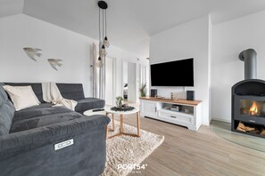 Televisión, chimenea y videoteca 