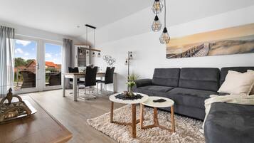 Televisor, llar de foc i videoteca