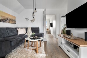 TV, fireplace, video library