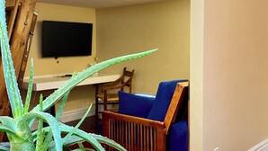 A bunk bed room with a television mounted on the wall, a wooden chair, and a potted plant.