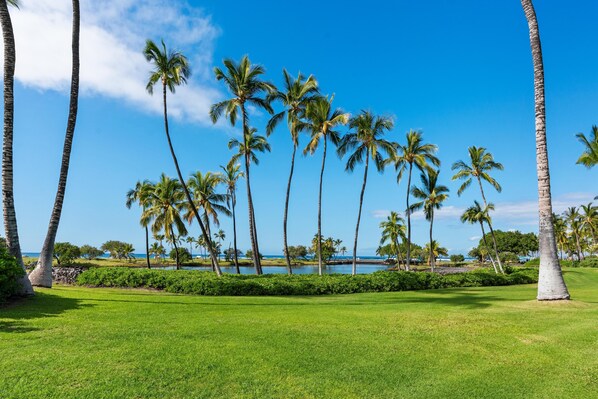 A tropical landscape with palm trees and a clear blue sky.