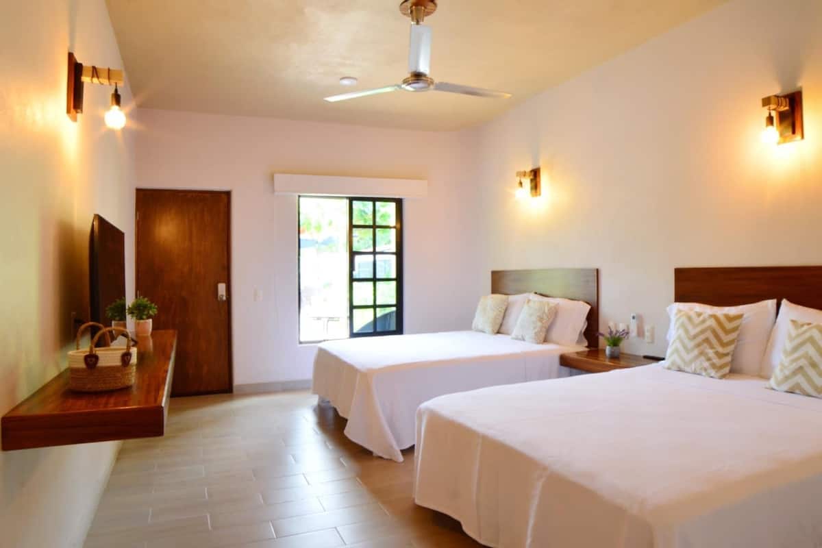 A hotel room with two beds, a ceiling fan, a window, and a wooden bench with a basket and plants.