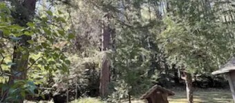 Cottage at the bottom of the mountain