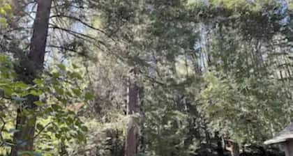 Cottage at the bottom of the mountain