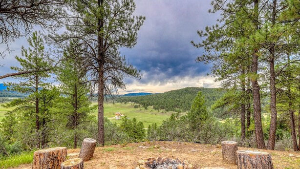 A campsite with a fire pit surrounded by tree stumps, set against a backdrop of a forest and a distant view of a valley.