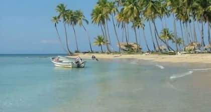 Comfortable 2 bed 2 bath suite!