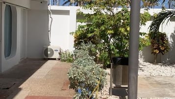 Estudi familiar | Terrassa o pati