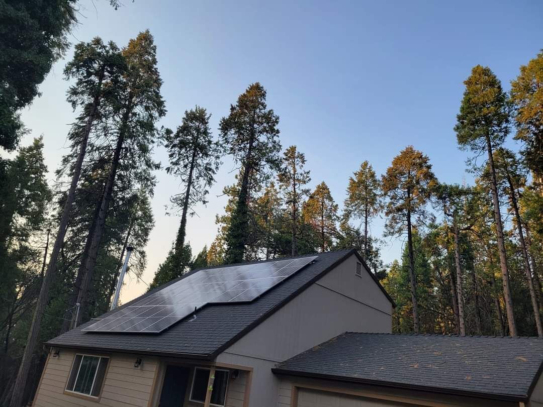 Cozy Getaway in the Woods (Dog-friendly!) in Pollock Pines, United States