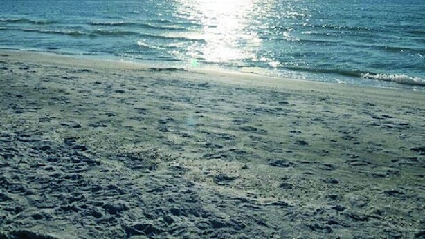 A beach with a clear sky and sunlight reflecting on the water. - Pet friendly!  Across from the Pools!  Includes a golf cart! (Surfside Beach)