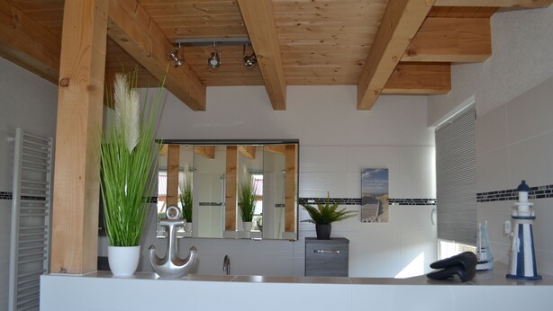 A modern bathroom with a wooden ceiling, a large mirror, a sink, and a potted plant. - HM - Holiday home 3 Deluxe Krombachtalsperre Westerwald (Driedorf)