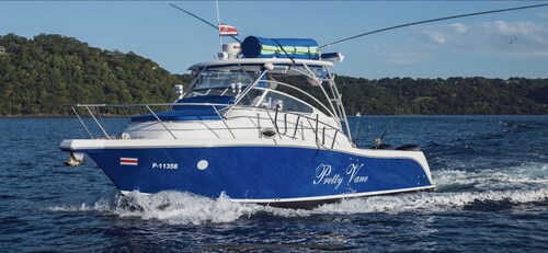 Pretty Vane 32'' ProLine-Walk Around-A/C Cabin