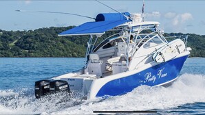 A speedboat named "Pretty Vane" with a blue and white color scheme, equipped with a canopy, and traveling on water.