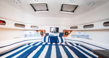 Pretty Vane 32'' ProLine-Walk Around-A/C Cabin