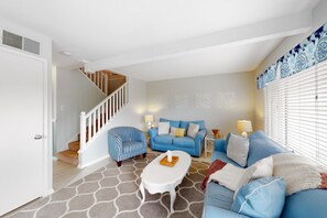 TV, DVD player, books, video library