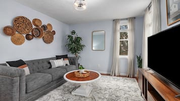 Smart TV, Netflix, books, streaming services