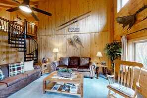 TV, DVD player, books, video library