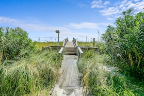 Explore the serene surroundings along this scenic boardwalk, leading to a picturesque bridge amidst lush greenery and tall grasses.