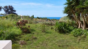 A grassy area with a wooden fence, a palm tree, and a view of the ocean. - Apartment Casa Alegria (Carvoeiro)