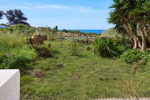 A grassy area with a wooden fence, a palm tree, and a view of the ocean.