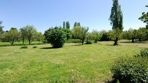 A grassy field with scattered trees and a clear blue sky. - Le Vivier - GIVRY - Gîte (GIVRY)