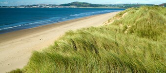 Gorgeous, Comfortable Apartment on the High Street