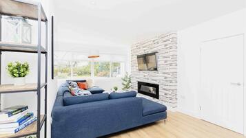 Smart TV, fireplace, video games, books