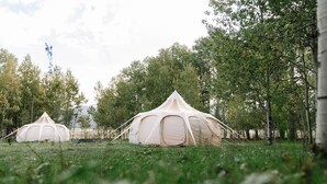 Two dome-shaped tents in a grassy field with trees in the background. - Yellowstone Luxury Bell Tent Sleeps 3 (Island Park)