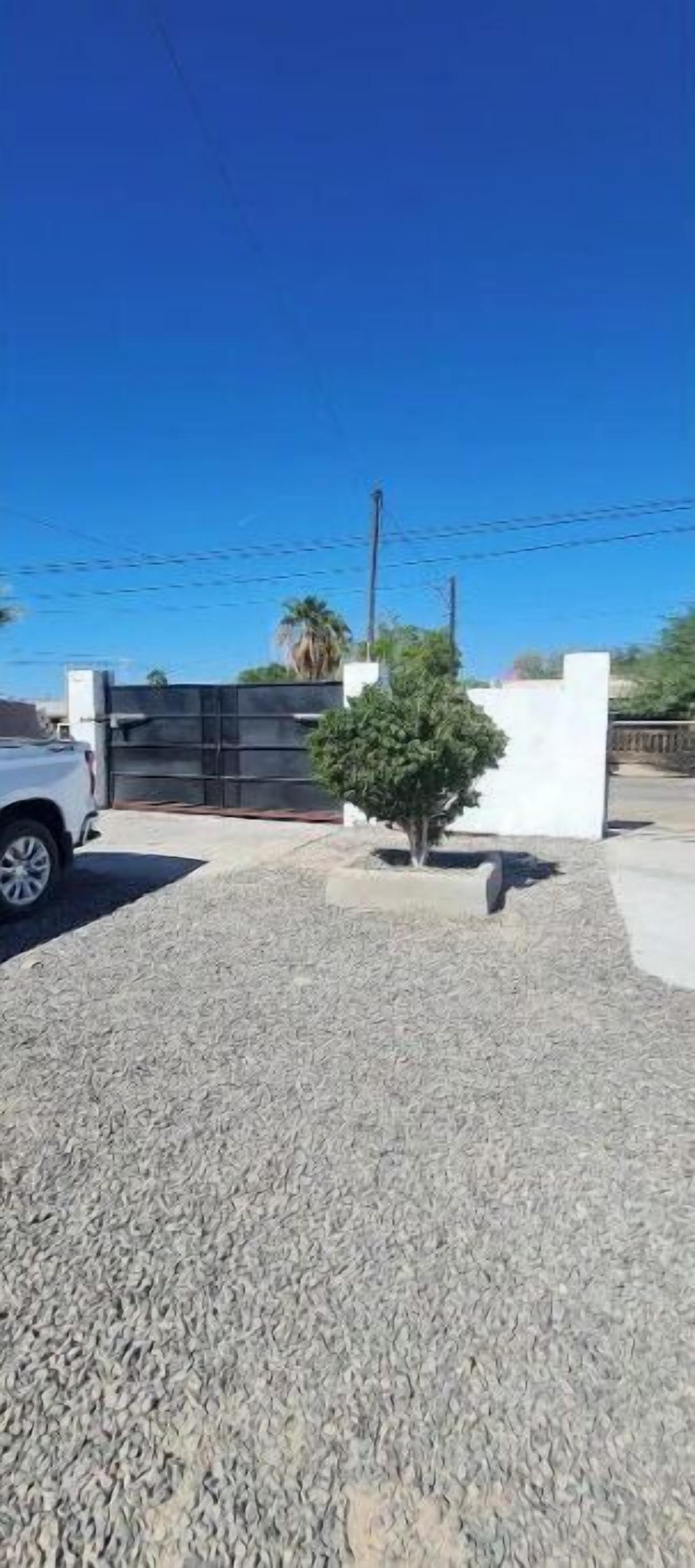A paved driveway with a small tree and a white building in the background.