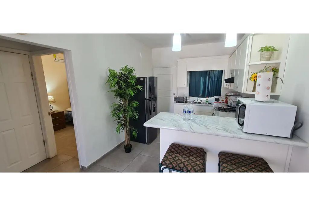 Fridge, oven, stovetop