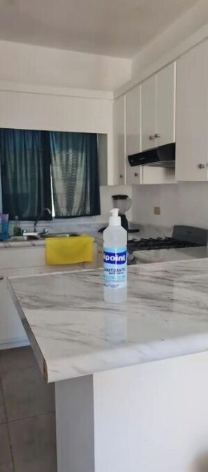 Fridge, oven, stovetop