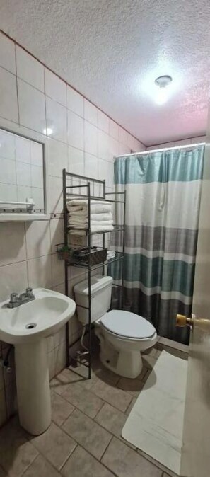 Une petite salle de bain avec un lavabo, des toilettes et un rideau de douche.
