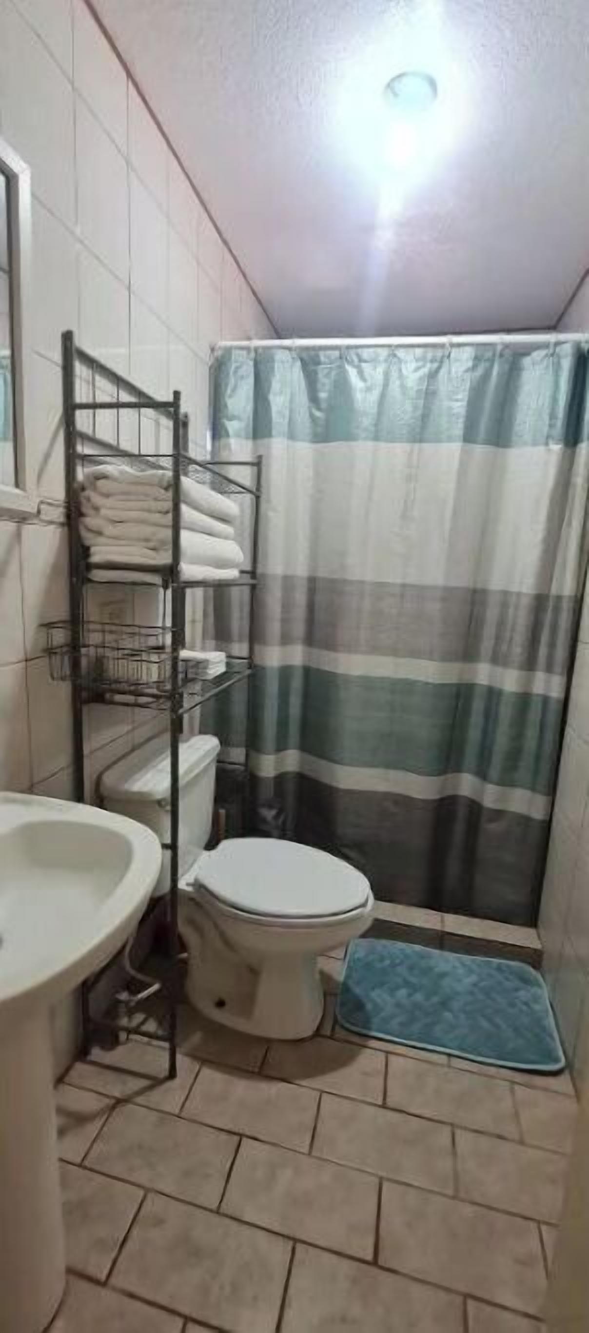 A small bathroom with a toilet, sink, and a shower curtain.