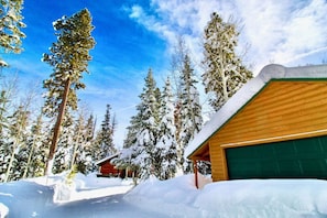 Cozy cabin surrounded by evergreen trees and snow-covered landscape.