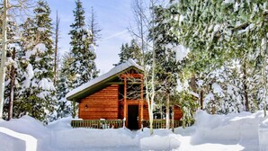 En stuga av trä, omgiven av snötäckta träd.